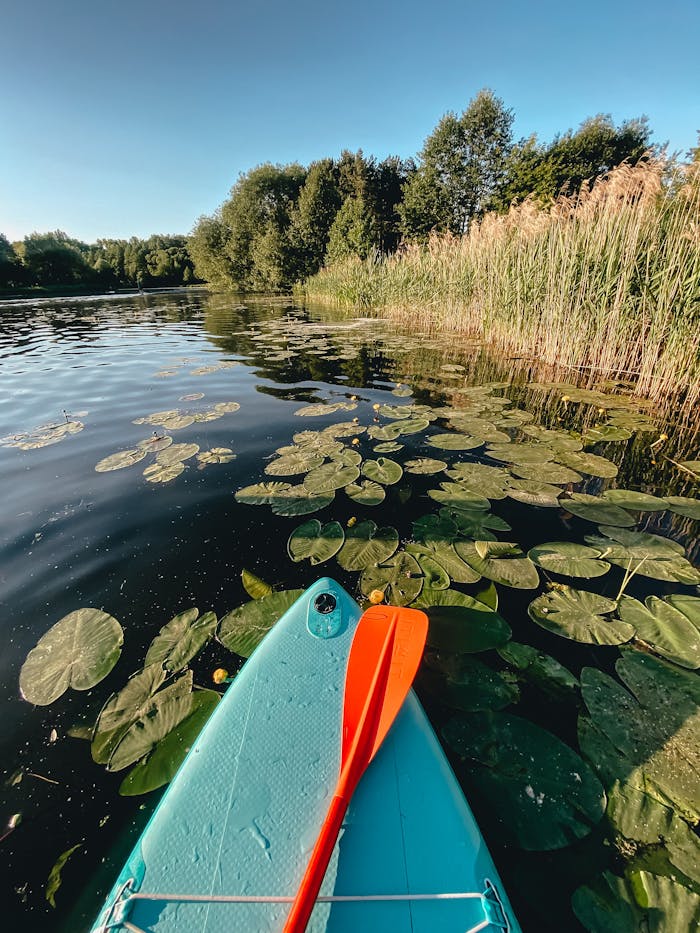 pexels photo 10142894.jpeg