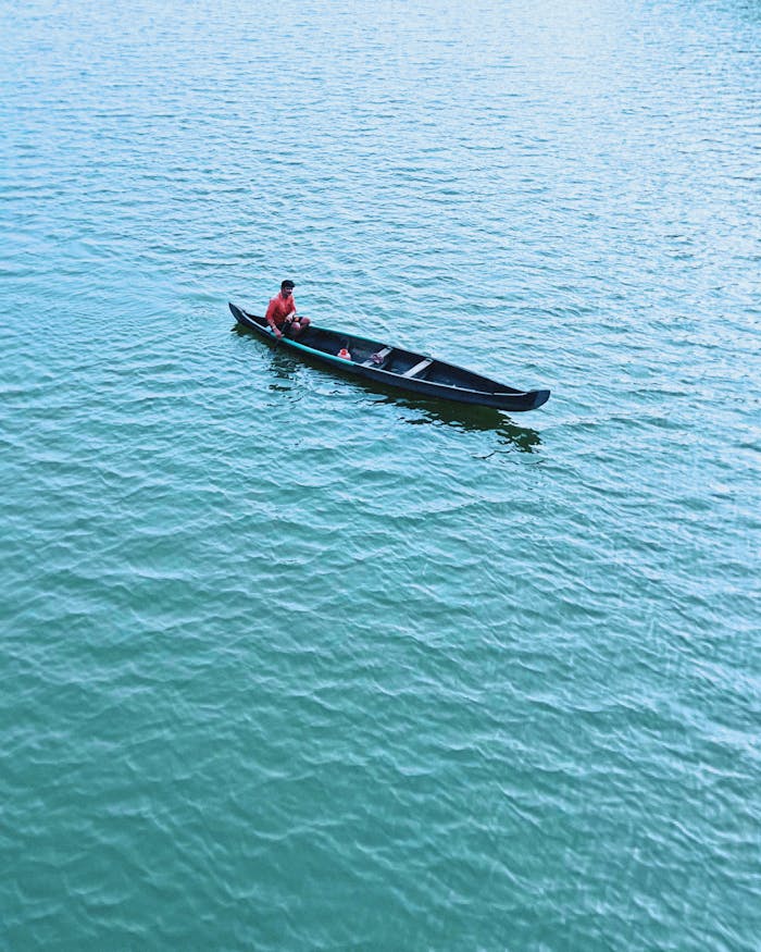 pexels photo 14260611.jpeg